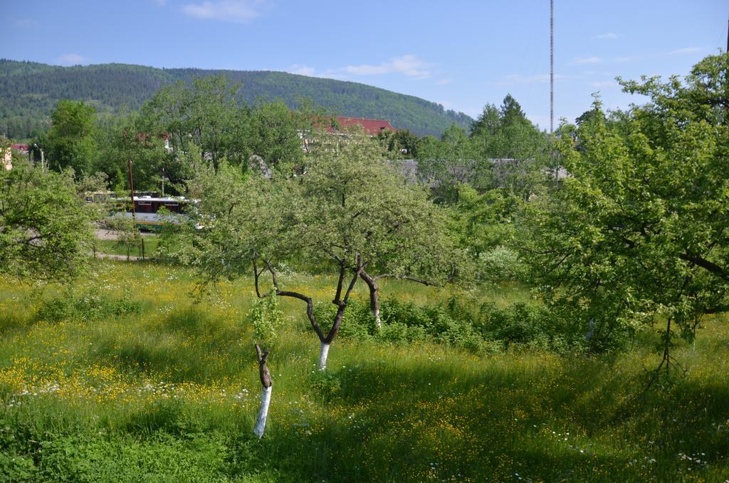 Apartamento Rosinka Yaremche Exterior foto